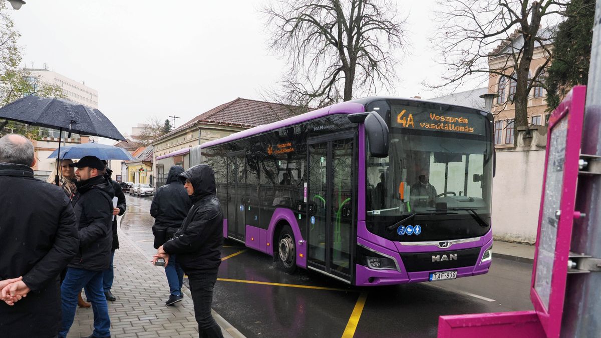 Diákbérlet 350 forintért? A veszprémi V-Buszokon igen!