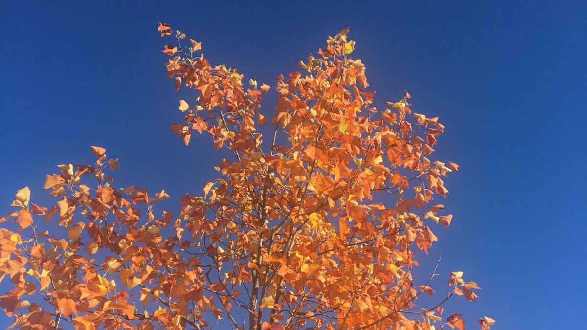 Átmeneti enyhülést hoz a hétfő