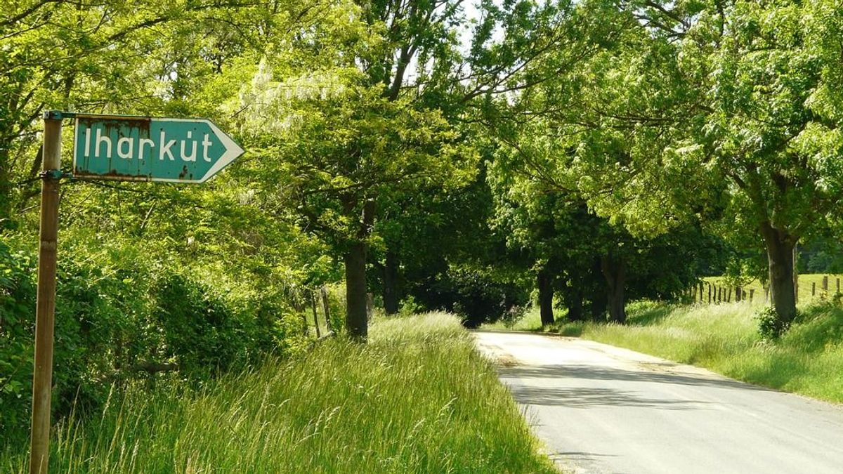 Piros disznók okozták az apró bakonyi falu vesztét: Iharkút igaz története