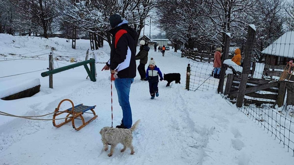 Szánkózás az Eperjesen, fénytraktormenet Teszéren – bakonyi hétvége fotókon, videókon