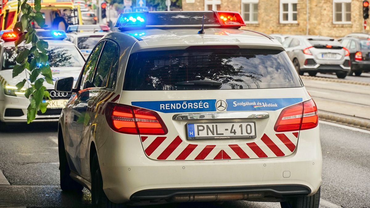 Megöltek egy nőt Encsen, a rendőrség hajtóvadászatot indított az elkövető után