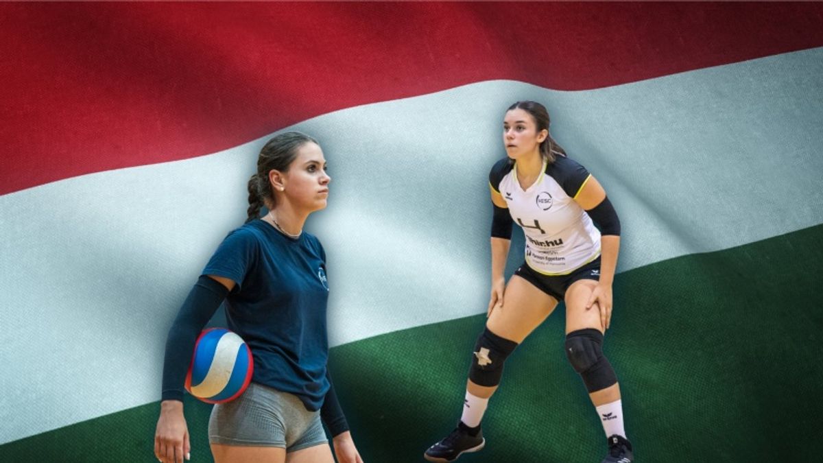 Válogatott meghívót kapott két veszprémi röplabdázó