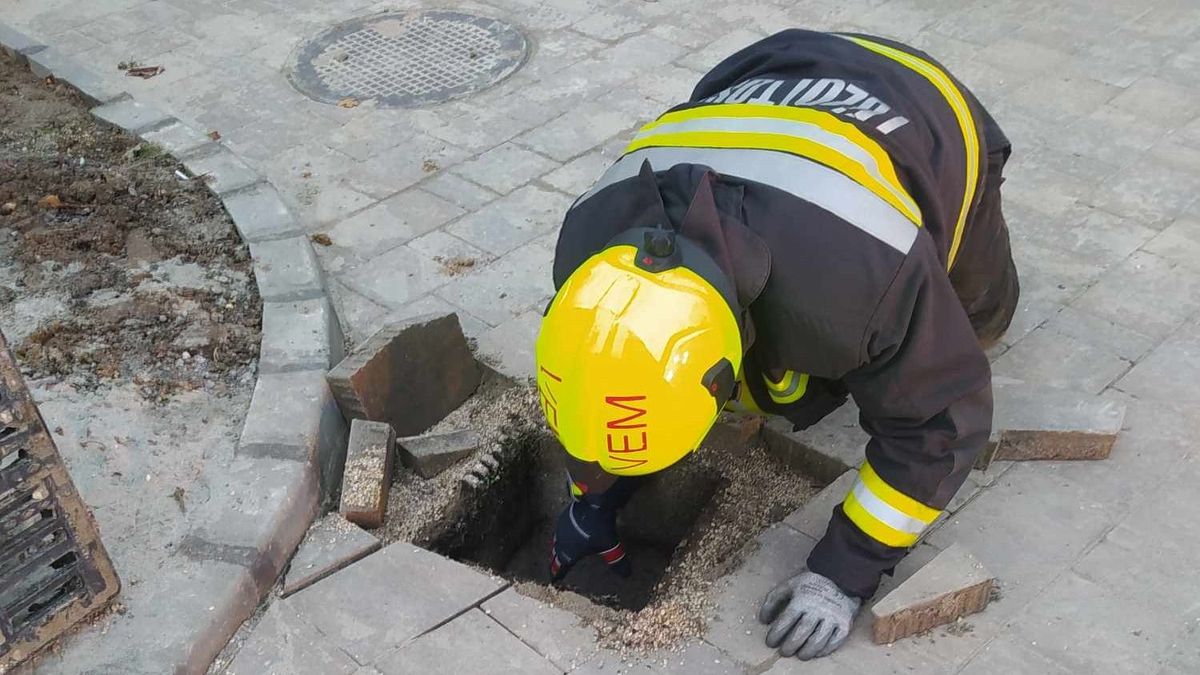 Esővízelvezető-csatornába szorult egy cica Veszprémben, a tűzoltók mentették ki