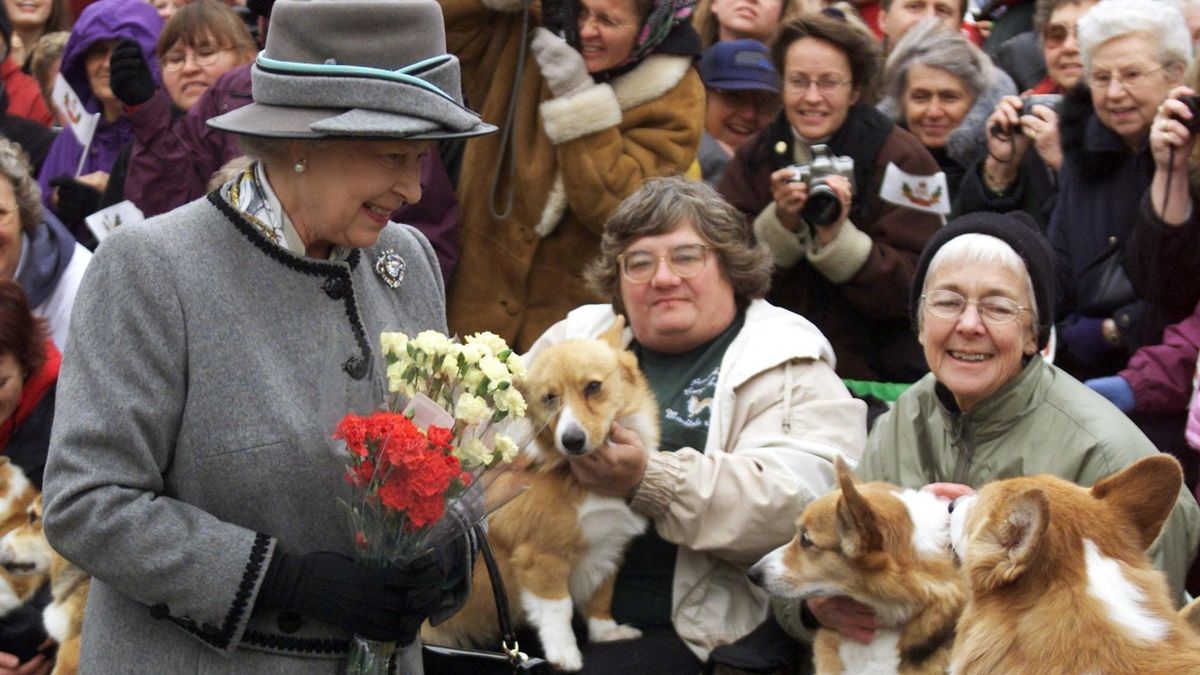 Így vannak most II. Erzsébet corgijai