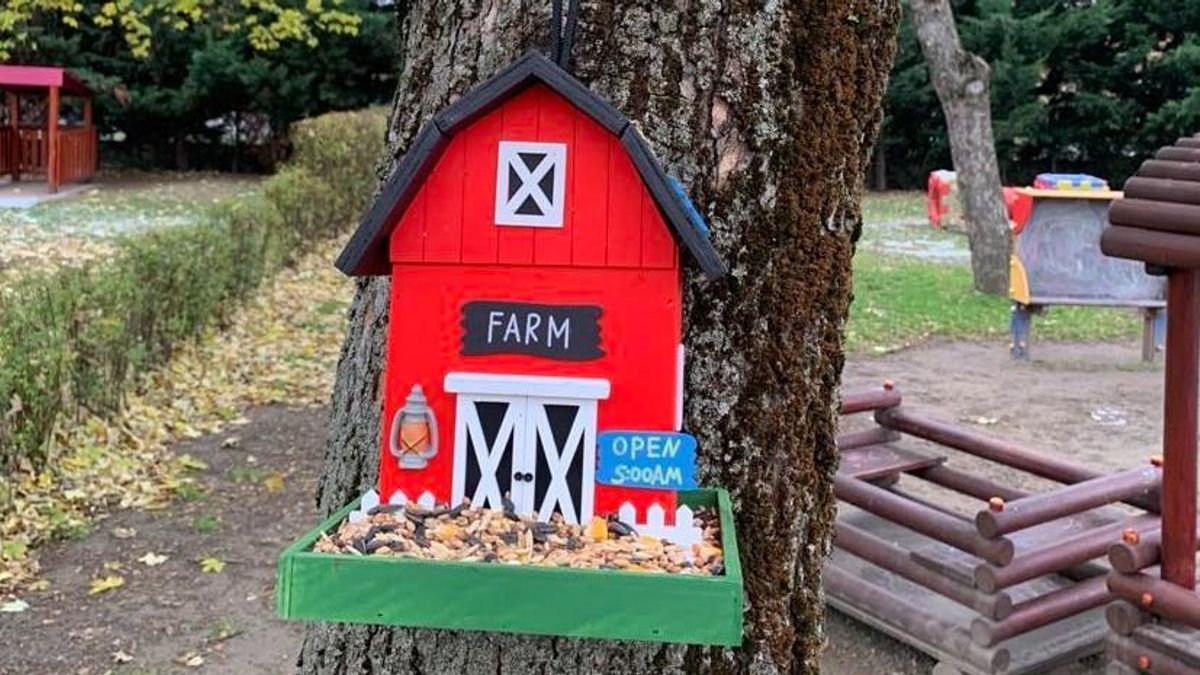 Madáretetőknek örülhetnek a veszprémi bölcsisek