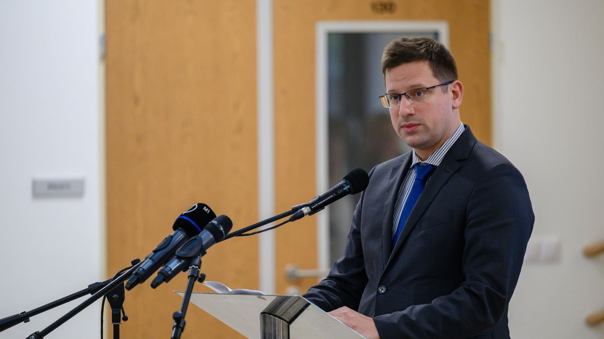 Gulyás Gergely: a magyar-szerb kapcsolatok fenntartása miatt is fontos az erős magyar érdekképviselet Szerbiában