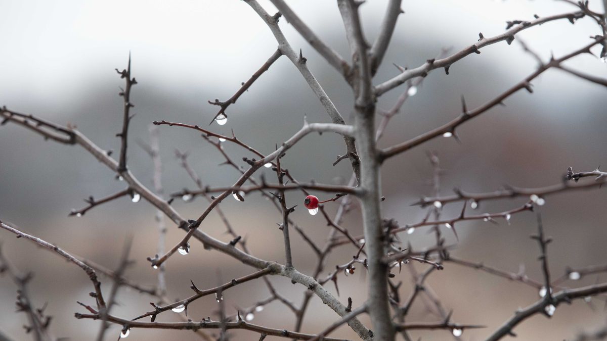 Ködös reggelre ébredünk Veszprém vármegyében