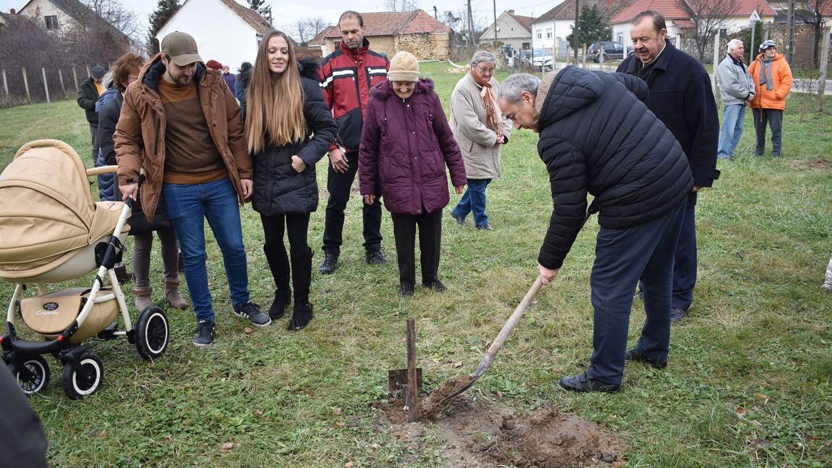 Facsemetét ültettek a nagyteveli gyermekeknek