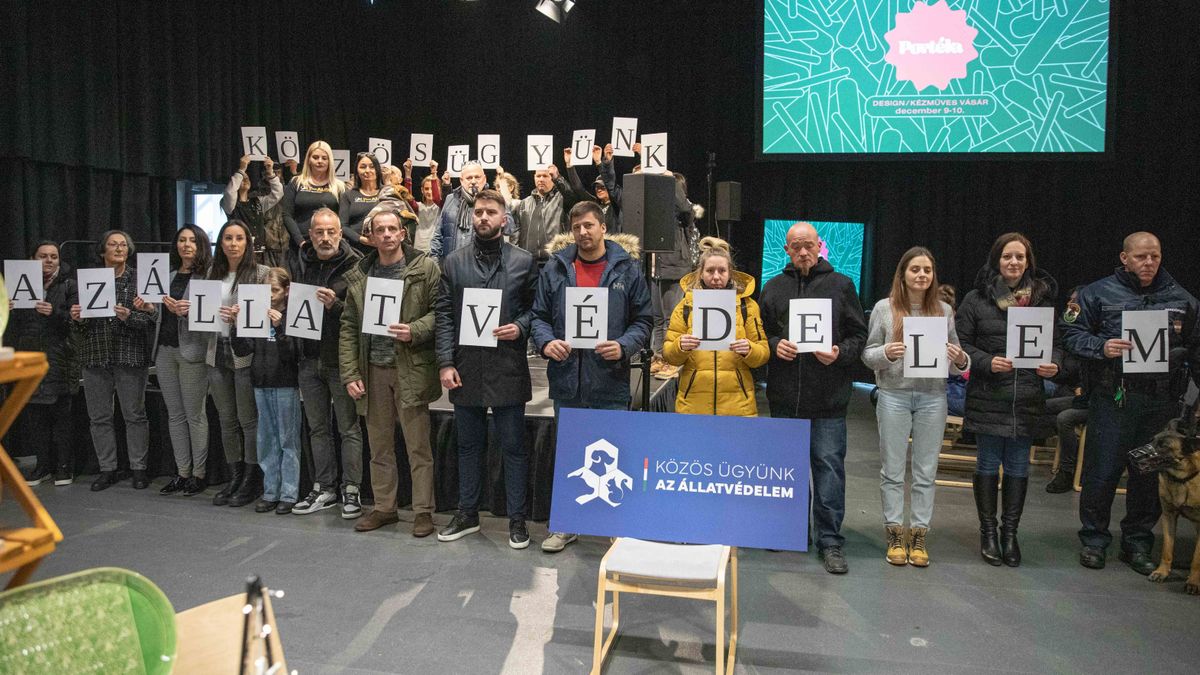 Villámcsődület is volt az Adventi Civil Börzén Veszprémben