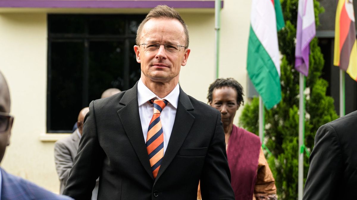 A csádi elnök üdvözölte az afrikai magyar szerepvállalást