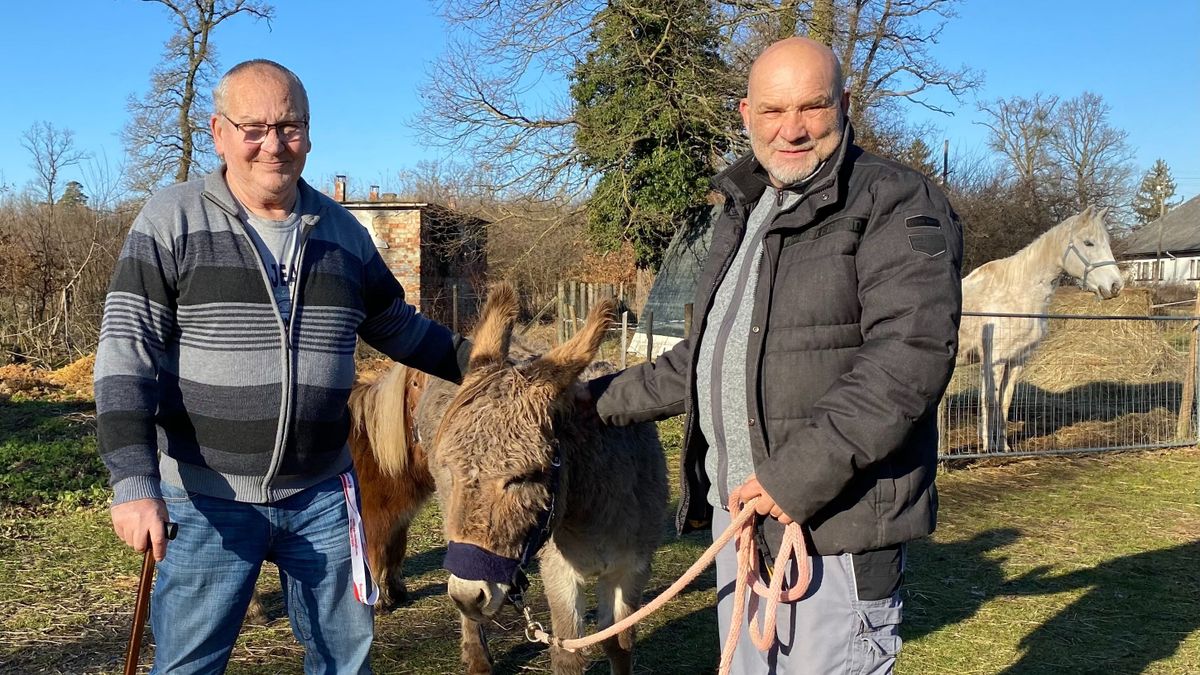 Elárverezés után kirándulás a menhelyre: „Ajándék nekünk ez a nap!”