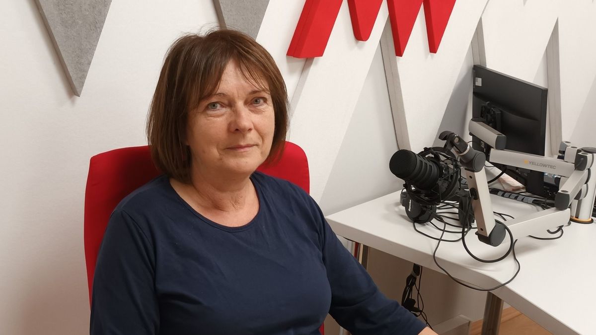 Bármit megjelenít papírhajtogatással H. Vass Ildikó origamialkotó