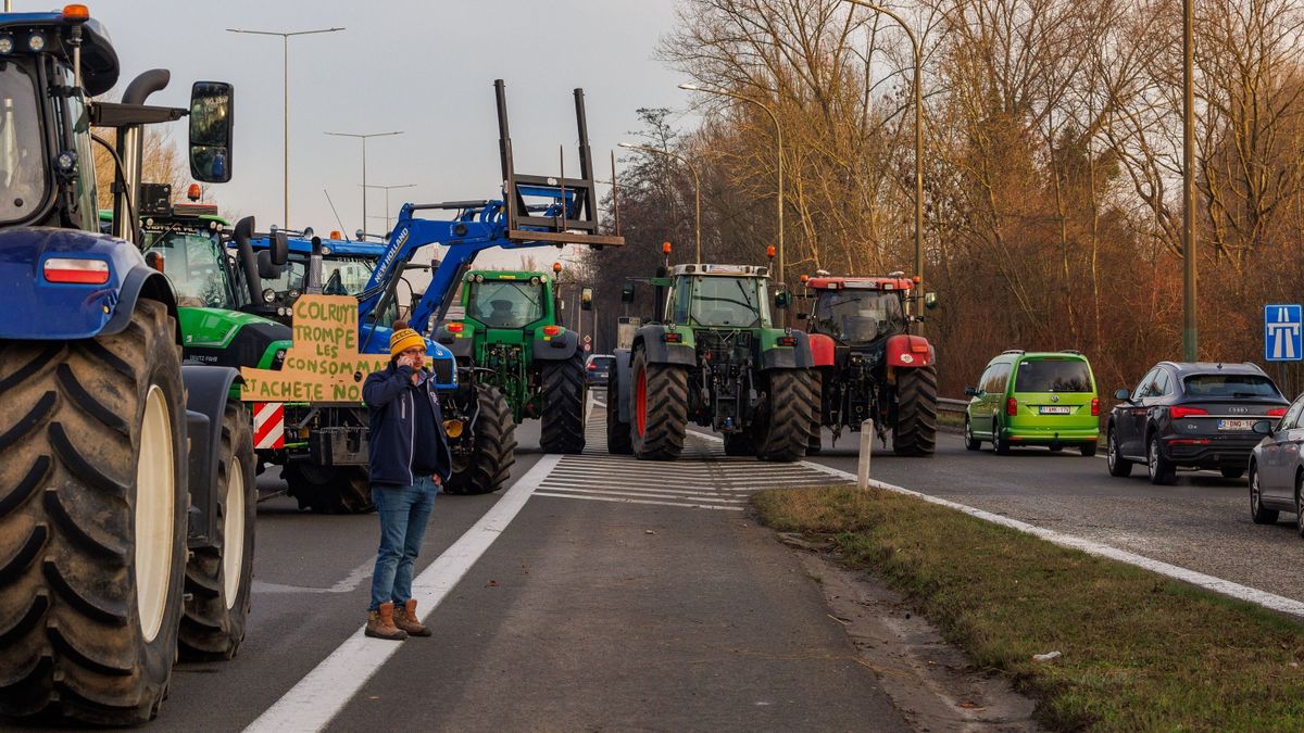 Utcára vonultak a gazdák Belgiumban, a francia földművesek is tiltakoznak