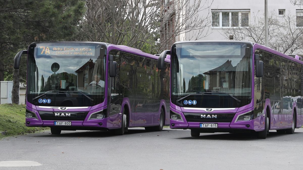 Tizedére csökken néhány bérlet ára Veszprémben
