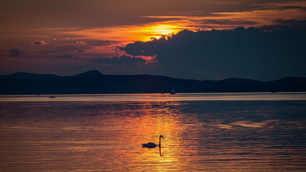 Tél – Balaton – irodalom