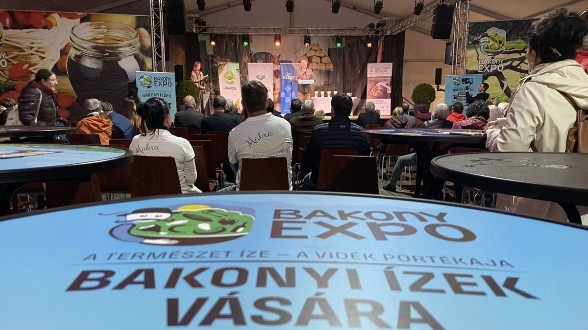 Boltzár, Michelin és Bakony Expo: nem hiszed el, mi lett 2023 legnépszerűbb gazdasági híre
