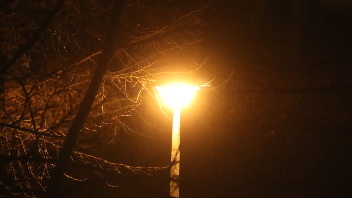 Kifelé a sötétségből – fordulók dzsungelében