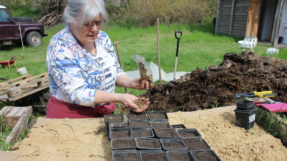 Visszaesett a biotermékek iránti kereslet