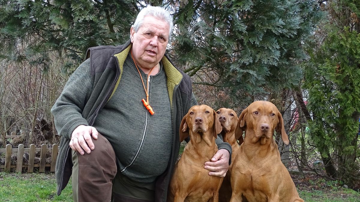 A gyorsaság itt nem pálya: sokat tehetnek a megelőzésben a vadászat iránt fogékony emberek