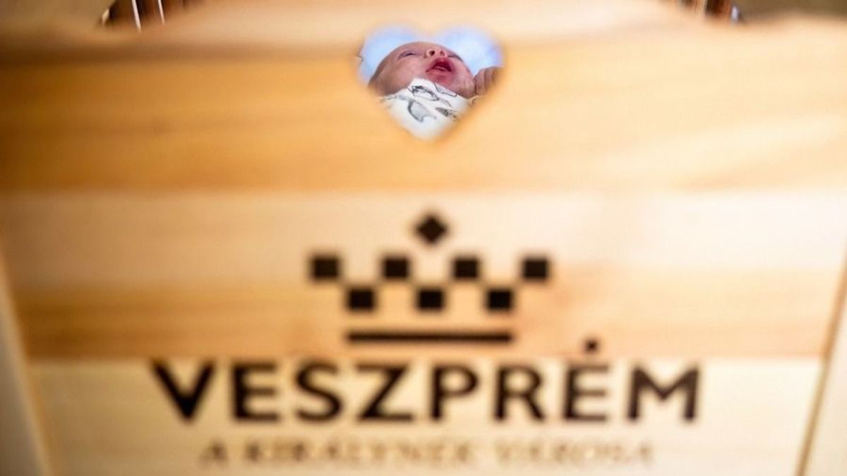 Vándorbölcső, amelyben már a veszprémi babák is ringhatnak
