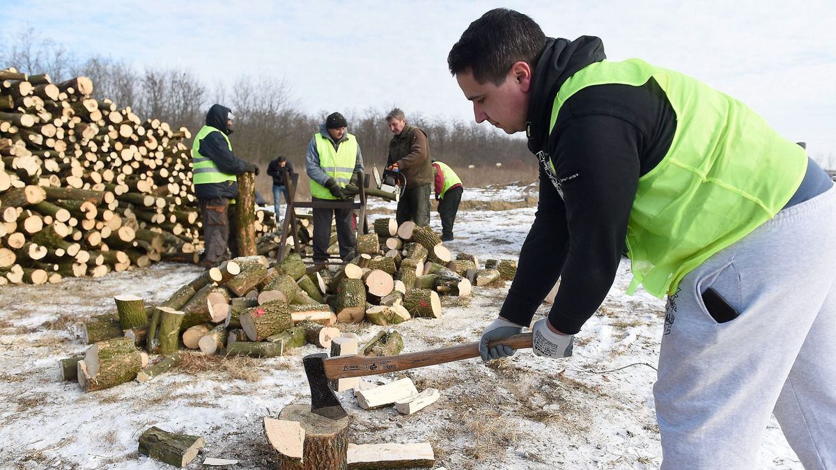 Szociális tűzifa: több mint 164 ezer köbmétert osztottak szét a rászorulók között