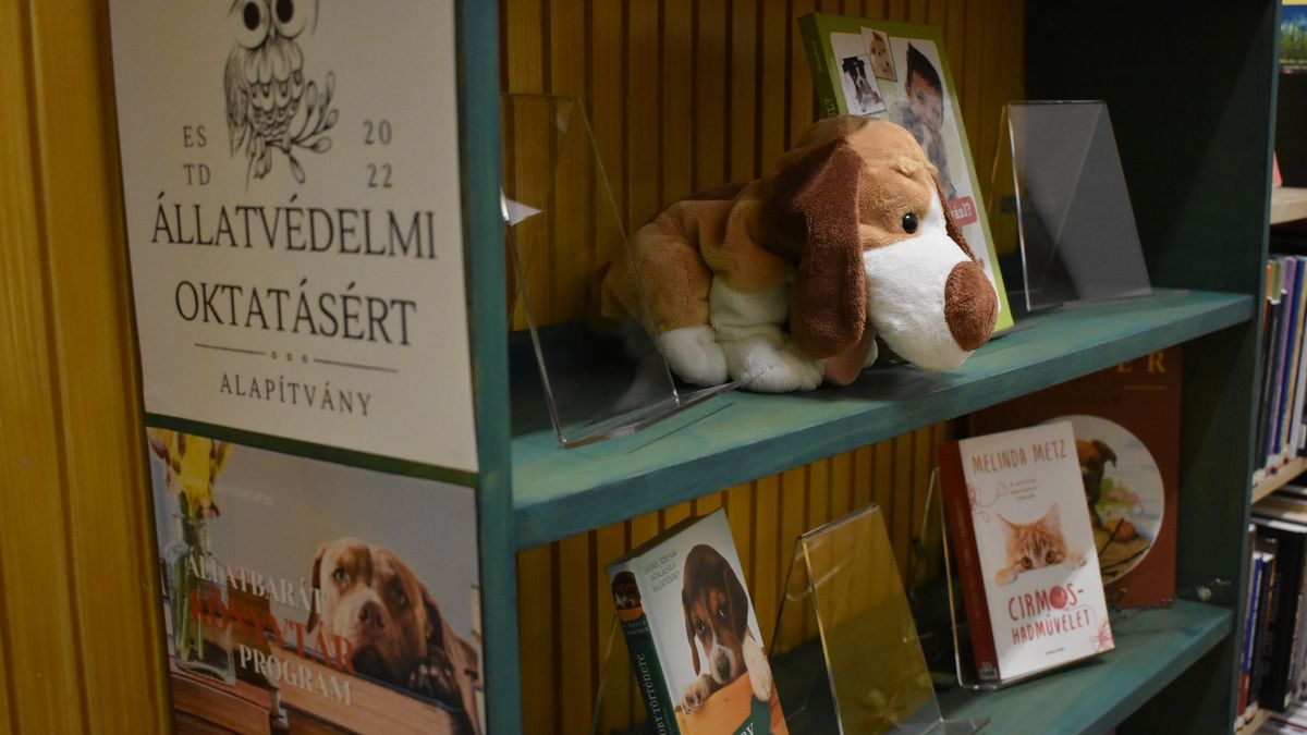 Pápán is csatlakoztak az Állatbarát könyvtár programhoz