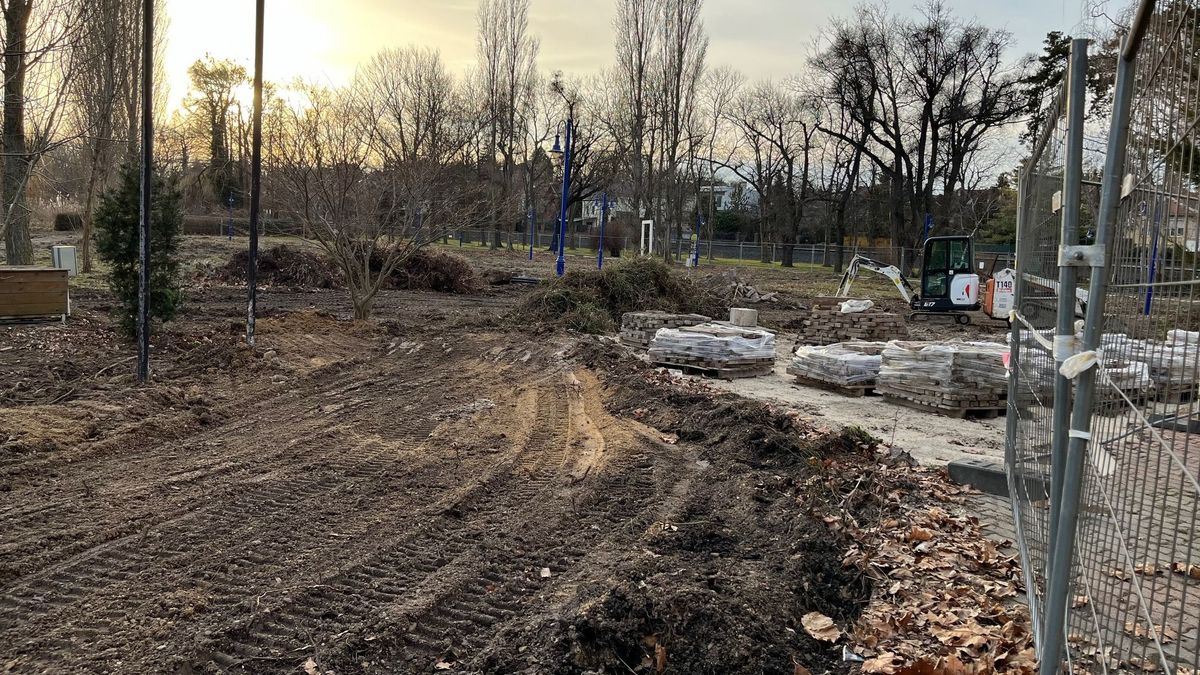 Megújul a révfülöpi rózsakert