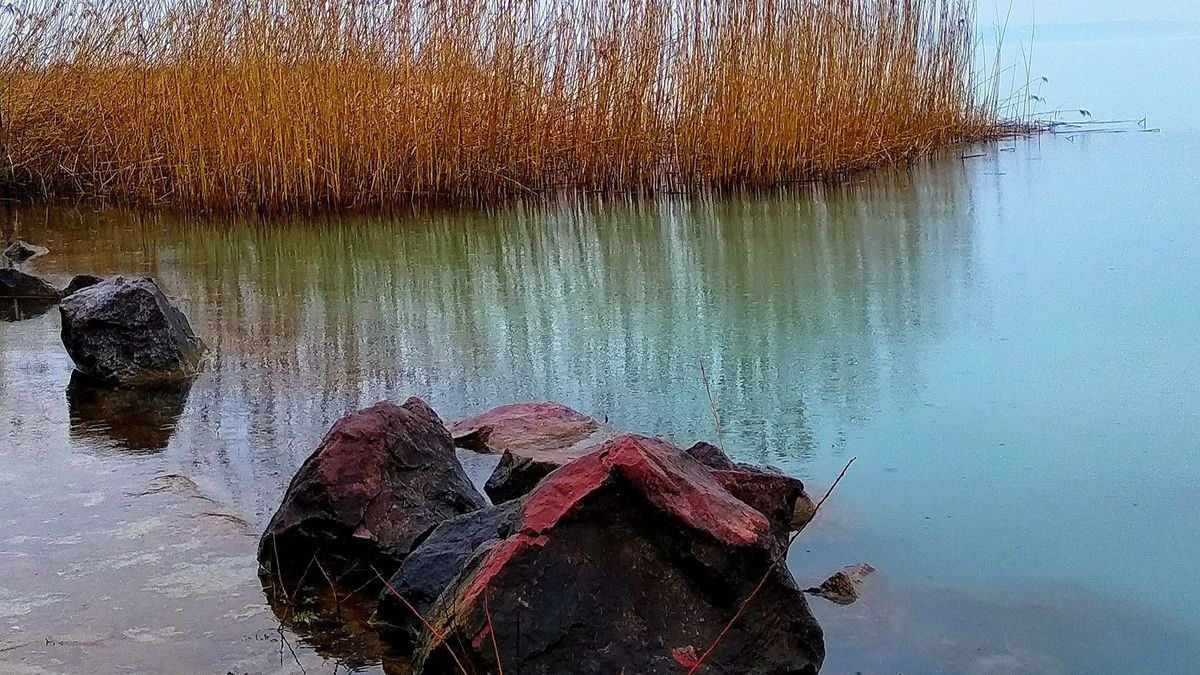 Magas vízállás Káptalanfürednél – Borongósan is szép és színes a Balaton