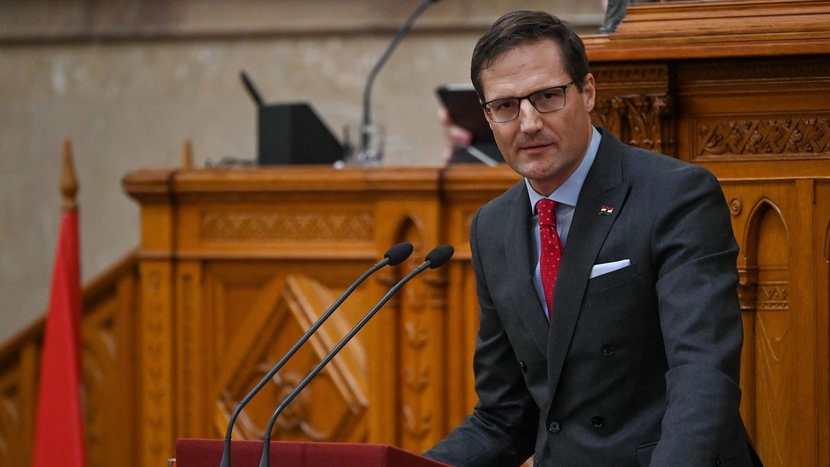 Ezért védi Gyöngyösit David Pressman és a baloldal (videó)