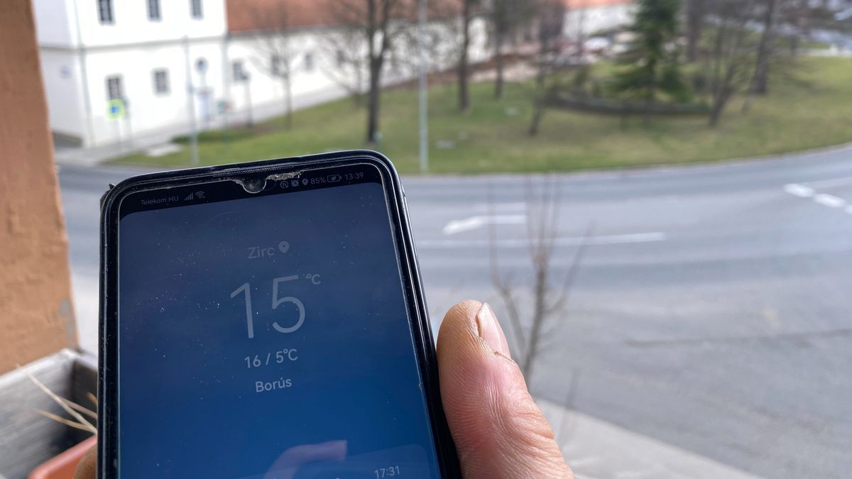 Nyitnikék a február végi 15 fokban a Bakony fővárosának központjában – Tavaszjelző madárhang videónkon