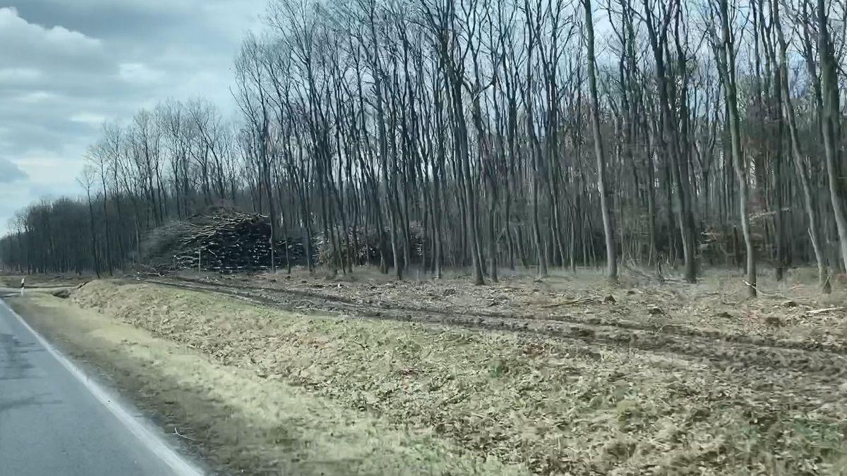 Ez egyelőre nem az a munka a 8-as úton, mint amire olvasóink vágynak (videó)