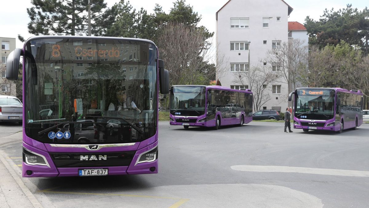Már a veszprémi helyi járatokon sem kell nélkülöznünk a wifit