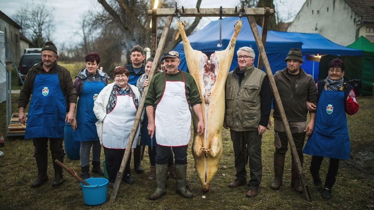 Szombaton visítástól vigadásig rendezik meg a Nemesgörzsönyi Böllérfesztivált