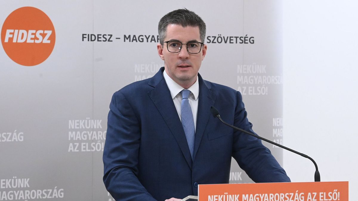 Kocsis Máté: új gyermekvédelmi rendszert kell kialakítani