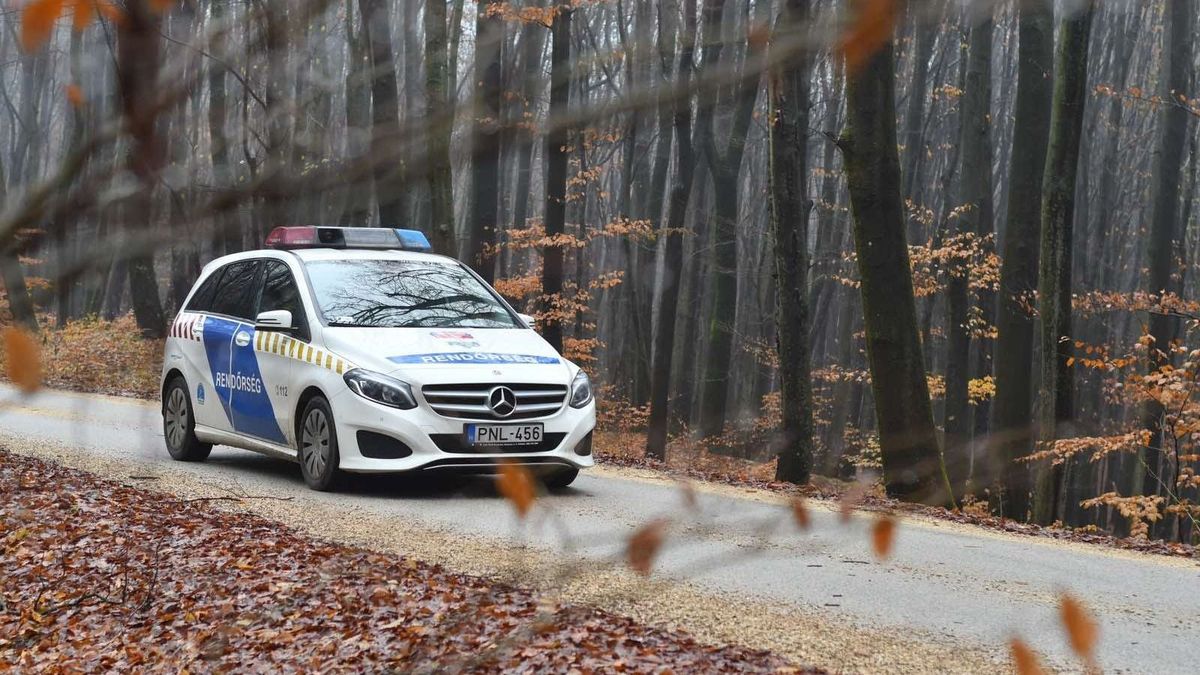 Veszprémben és Szentgálon csapott le a rendőrség és a TEK, három drogdílert vettek őrizetbe (videó)