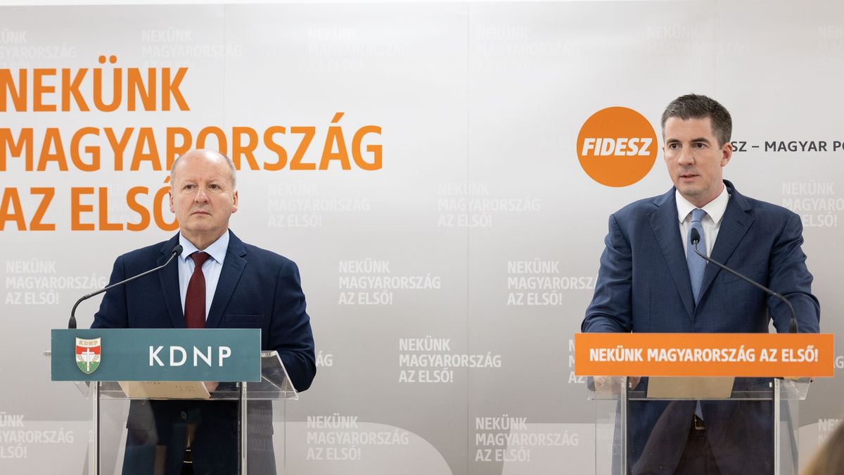 Sulyok Tamás alkotmánybírósági elnök lehet az államfő