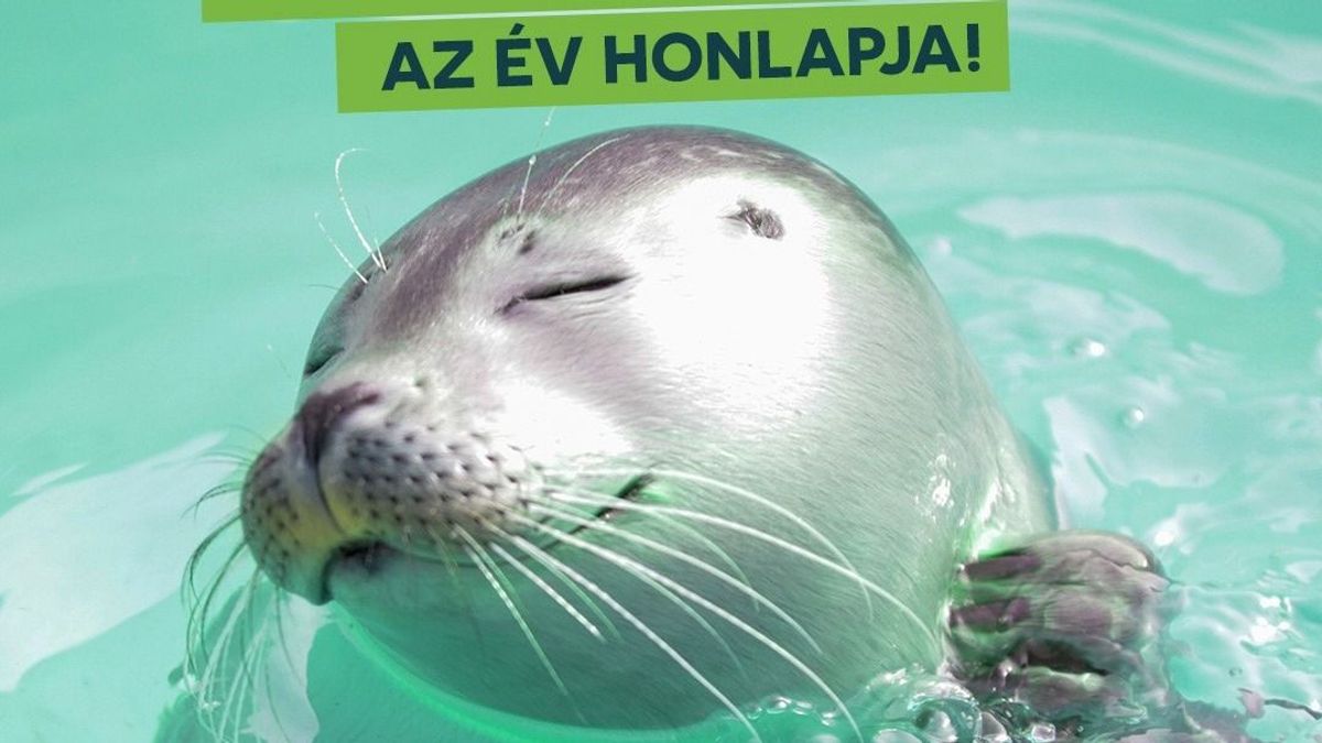 Az év honlapja minősítést kapott a Veszprémi Állatkert weboldala
