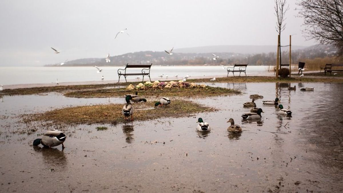 Balaton: csökkent, majd újra emelkedett a vízszint
