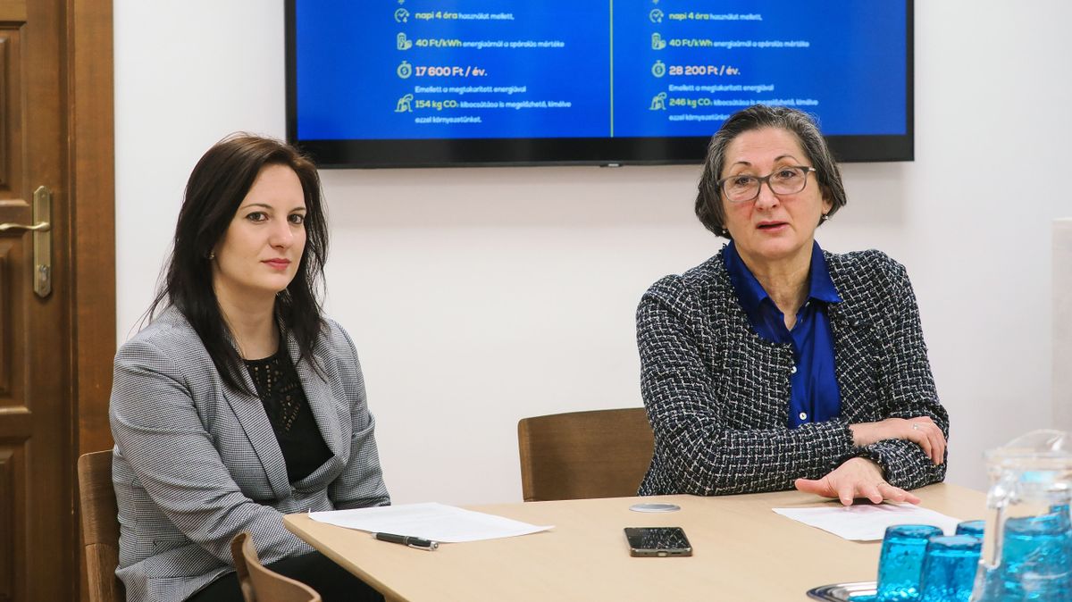 Sok ezer forintot spórolhatnak a veszprémiek az ingyenes LED-csere-programmal