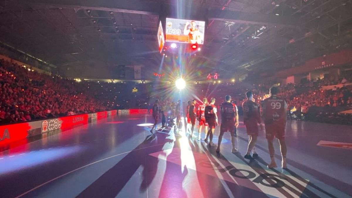 Szívós csapatot győzött le (fél gőzzel) a Telekom Veszprém