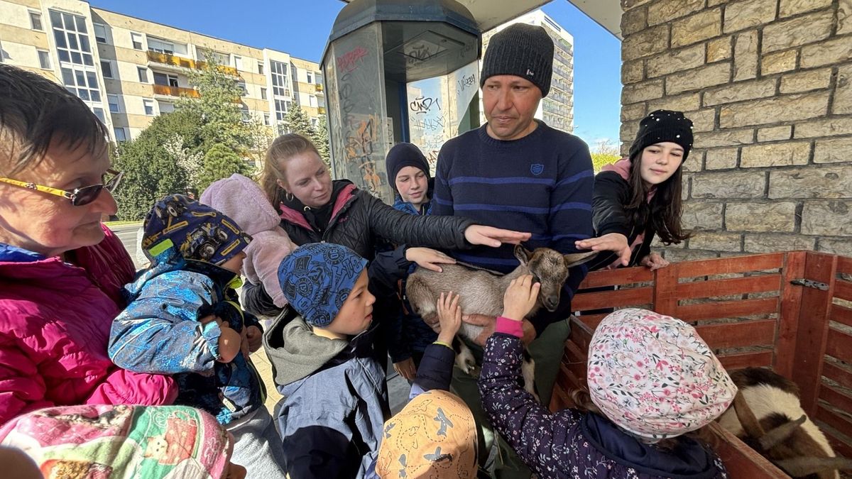 Nyuszisimogató gyerekeknek