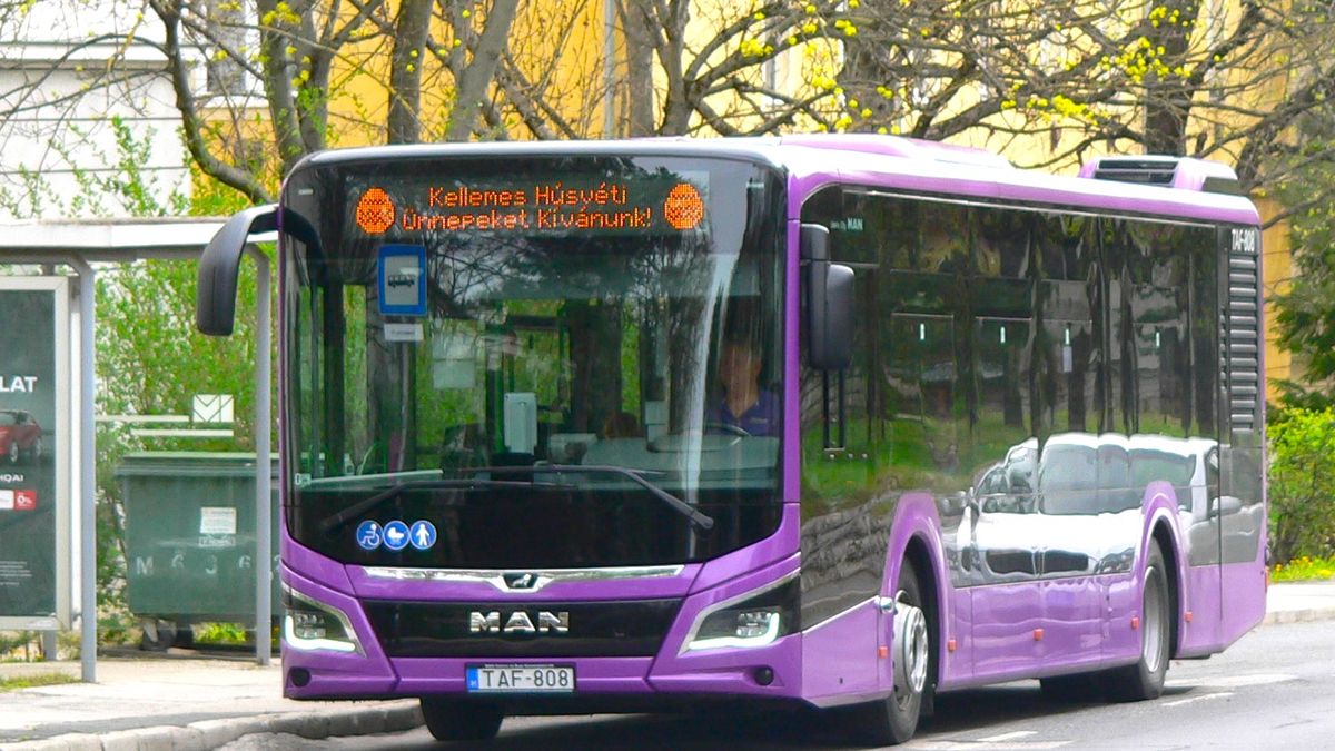 Húsvéti szép gesztus – két tojás közt egy jókívánság a buszosoktól