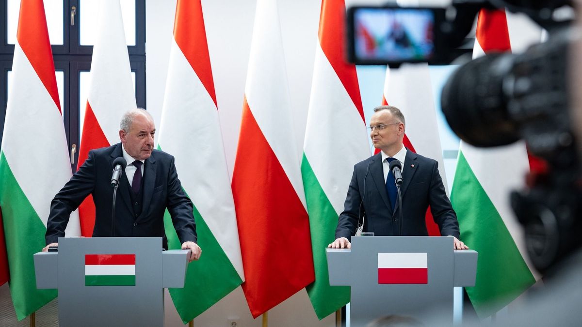 Sulyok Tamás szerint a lengyel–magyar barátság kiállta az idők próbáját (videó)