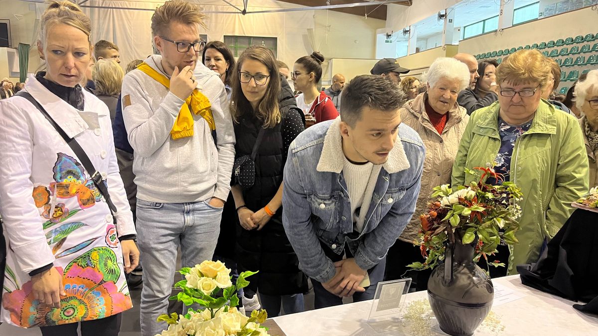 Cipő és kerti tó az asztalon (videó)