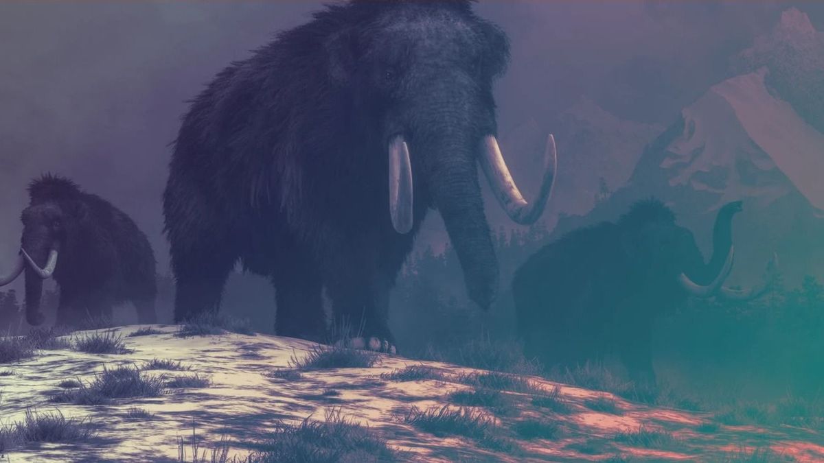 Egy biotechnológiai cég a mamut feltámasztásán dolgozik