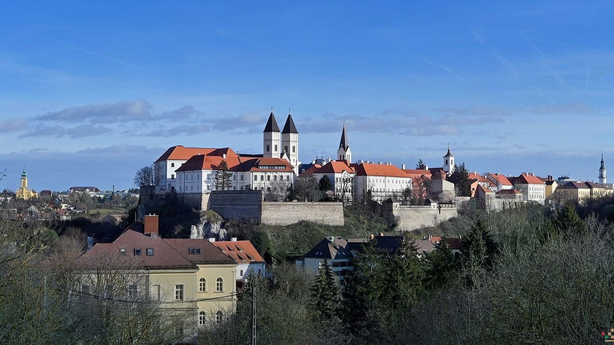 Elfogadták az üzleti tervet a rendkívüli veszprémi közgyűlésen