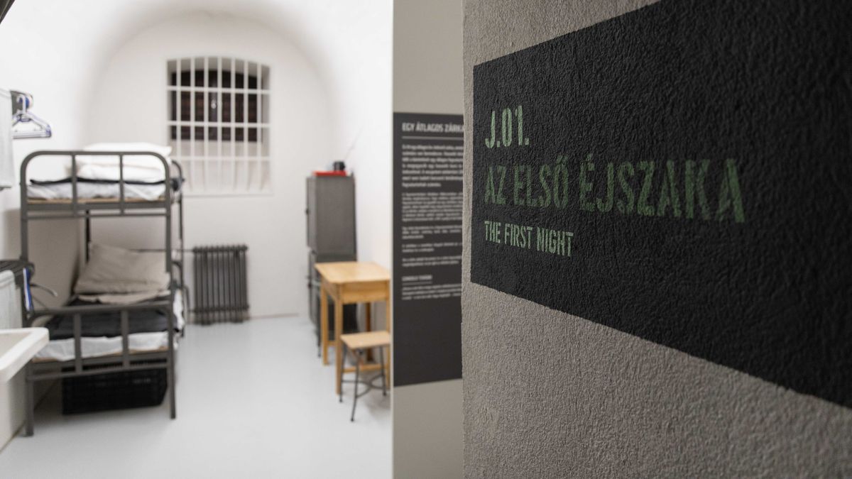 Rács mögé kerültek a veszprémi újságírók (képgaléria, videók)