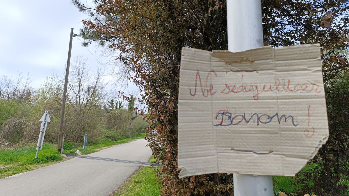 Ne száguldozz!