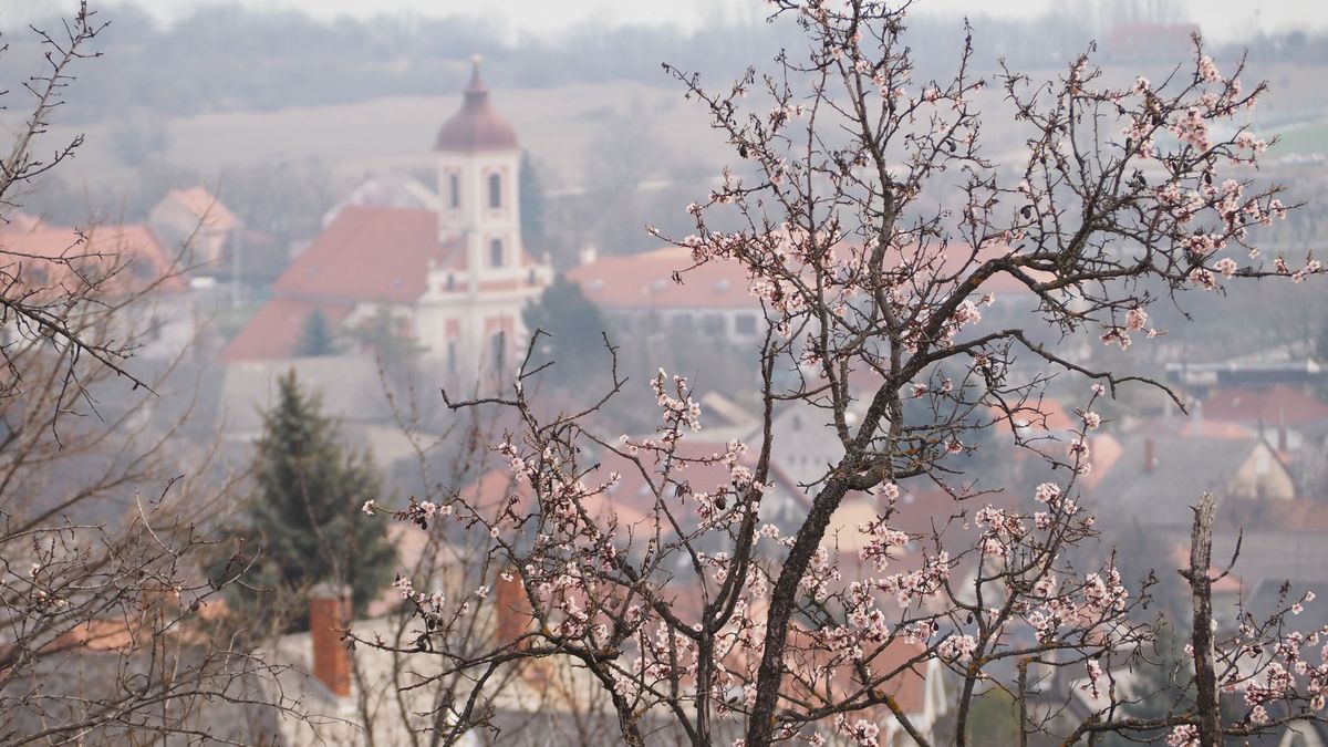 Legyen minél több zöldterület Balatonalmádiban!