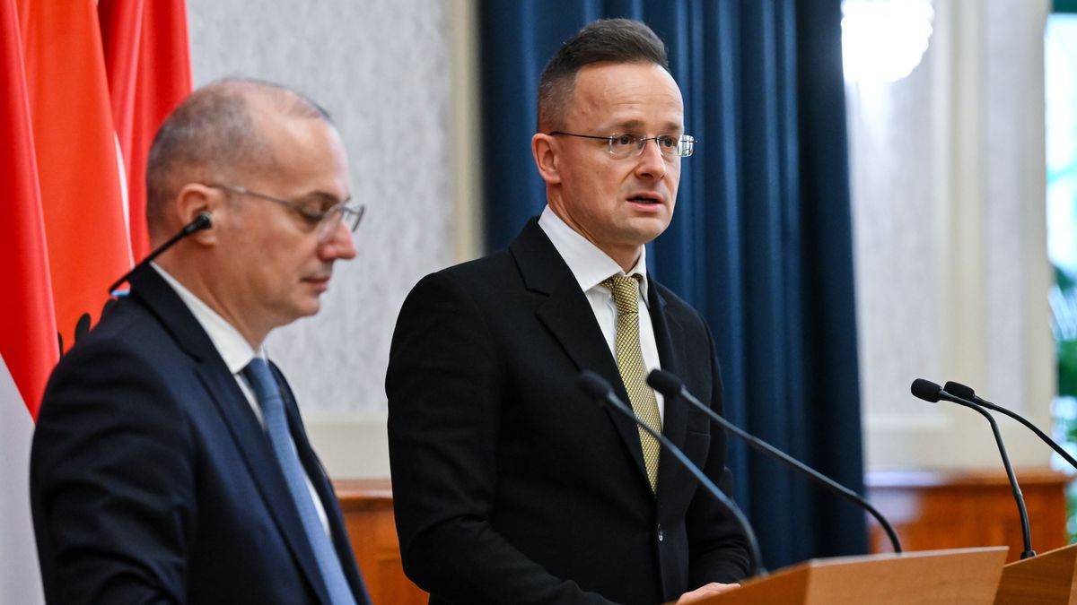 Szijjártó: Magyarország minden támogatást megad Albániának az EU-integráció sikerre viteléhez (videó)